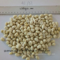 High Grade Blanched Peanut Kernels with Ce